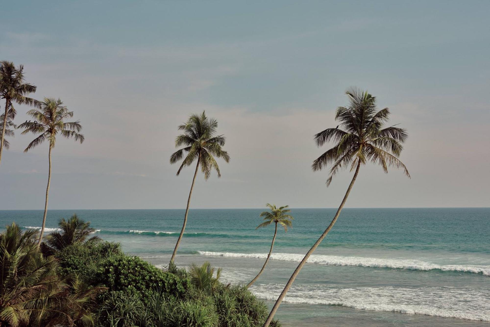 Gitano Surf Ahangama Beachfront Екстериор снимка